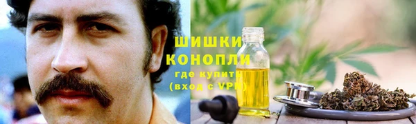 тгк Пестово