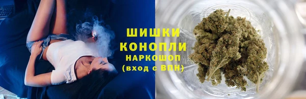 тгк Пестово