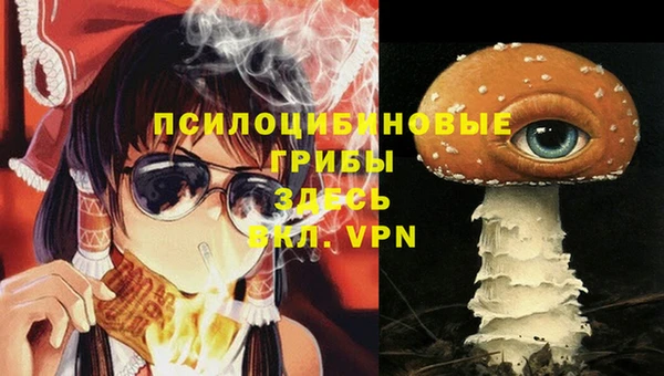 марки lsd Пересвет