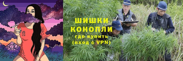 марки lsd Пересвет