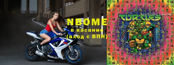 тгк Пестово