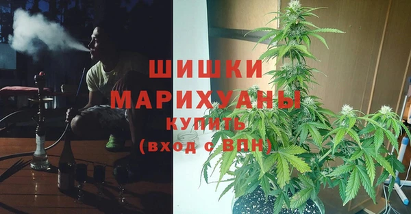 соль ск Переславль-Залесский