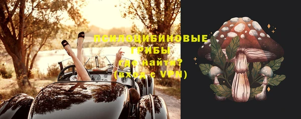 тгк Пестово